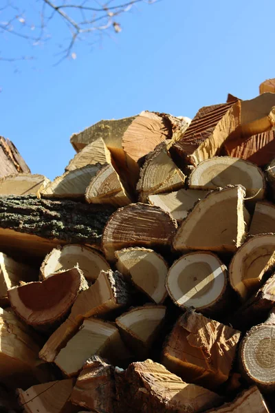 Close Lenha Cortada Contra Céu Azul Dia Ensolarado Firewood Empilhados — Fotografia de Stock
