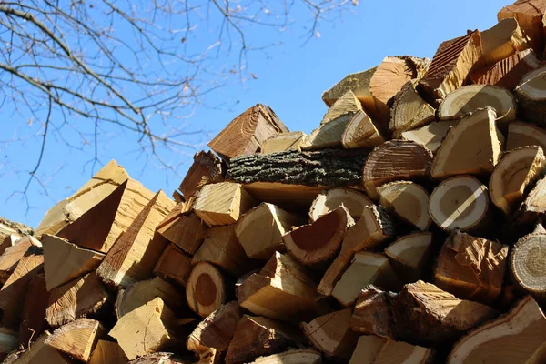 Close Lenha Cortada Contra Céu Azul Dia Ensolarado Firewood Empilhados — Fotografia de Stock