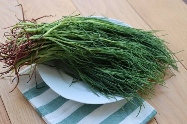 Çizgili peçetede bir sürü taze Salsola soda. Ahşap arka planda Barba di frate veya agretti veya Saltwort