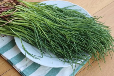 Çizgili peçetede bir sürü taze Salsola soda. Ahşap arka planda Barba di frate veya agretti veya Saltwort