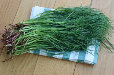 Çizgili peçetede bir sürü taze Salsola soda. Ahşap arka planda Barba di frate veya agretti veya Saltwort
