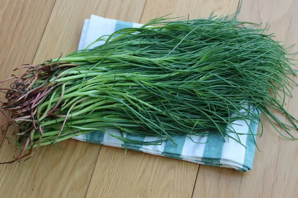 Çizgili peçetede bir sürü taze Salsola soda. Ahşap arka planda Barba di frate veya agretti veya Saltwort