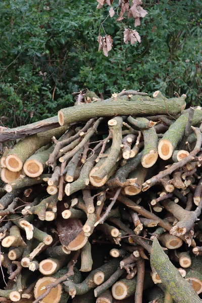 Holzstämme Garten Gehäckselte Baumstämme Geschnitten Und Gestapelt — Stockfoto