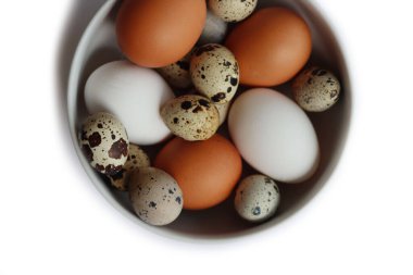 Beyaz arka planda izole edilmiş bir kasede taze tavuk, beyaz yumurta ve bıldırcın yumurtası.