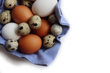 Beyaz arka planda izole edilmiş bir kasede taze tavuk, beyaz yumurta ve bıldırcın yumurtası.