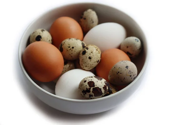 Свежие Куриные Коричневые Белые Яйца Перепелиные Яйца Миске Изолированы Белом — стоковое фото