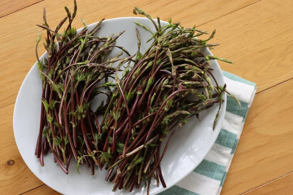 Bunch Hop Buds Striped Napkin Table Also Called Italian Bruscandoli —  Fotos de Stock