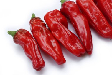Beyaz arka planda izole edilmiş kırmızı, uzun biberler. Yaz sebzeleri. Capsicum yıllık 