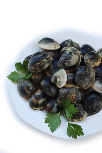 Raw Fresh Vongole Clams Isolated White Background — Foto de Stock