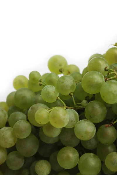 Frisch Grüne Trauben Isoliert Auf Weißem Hintergrund Vitis Vinifera — Stockfoto