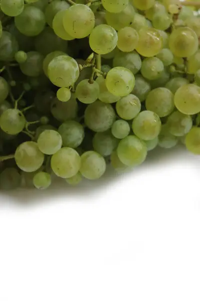 Grappe Raisins Verts Frais Isolé Sur Fond Blanc Vitis Vinifera — Photo