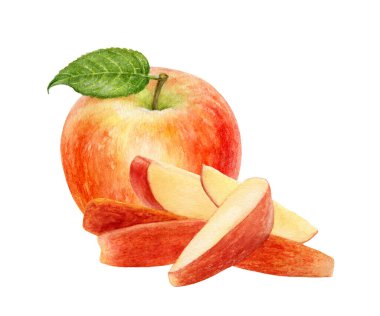 Elma dilimli elma beyaz arkaplanda izole edilmiş suluboya resimleme yığını