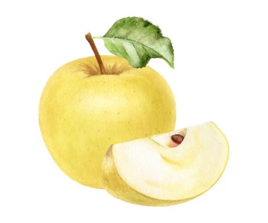 Beyaz arkaplanda izole edilmiş dilimlenmiş suluboya resimli Apple Golden