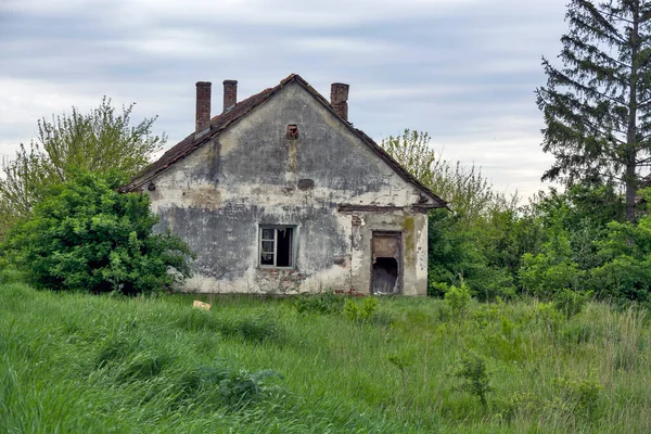 Velha Fazenda Abandonada Ornamentada Vojvodina — Fotografia de Stock