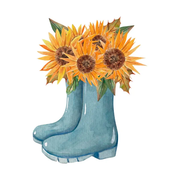 Modré Duhové Boty Kyticí Slunečnic Akvarel Ilustrace Pro Podzimní Design — Stock fotografie
