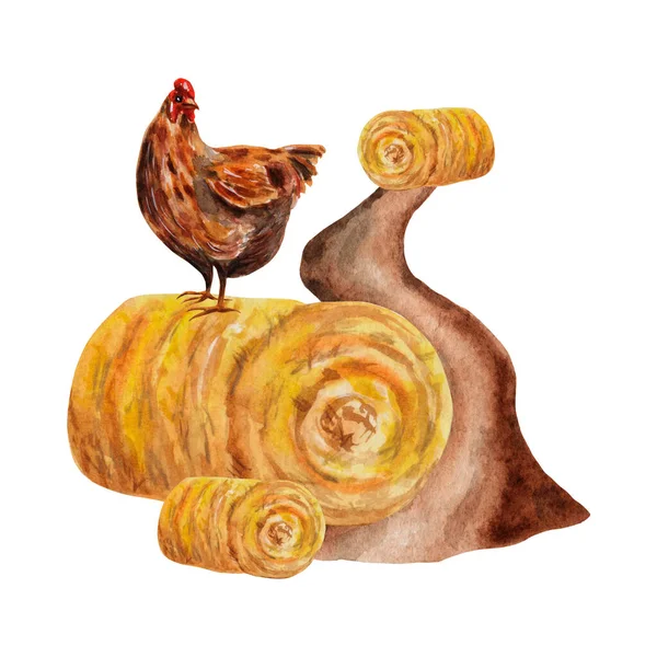 Chicken Road Stacks Hay Watercolor Farmland Illustration Harvest Season Template — Stock Photo, Image