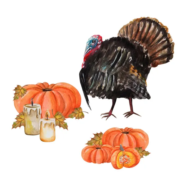 Akvarel Design Krůtí Pták Dýněmi Podzimní Listy Svíčky Secor Pozvánky — Stock fotografie