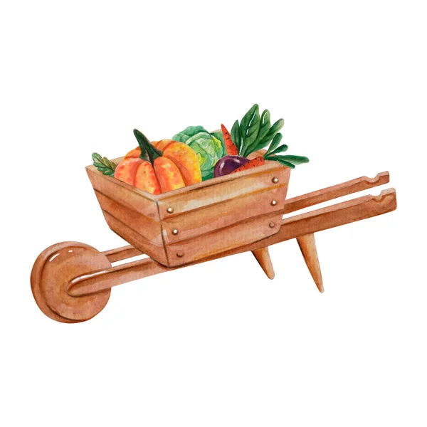 Akwarela Kompozycja Drewnianej Taczki Warzywami Narzędzie Zbiorów Imprezę Ogrodową Zaprasza — Zdjęcie stockowe
