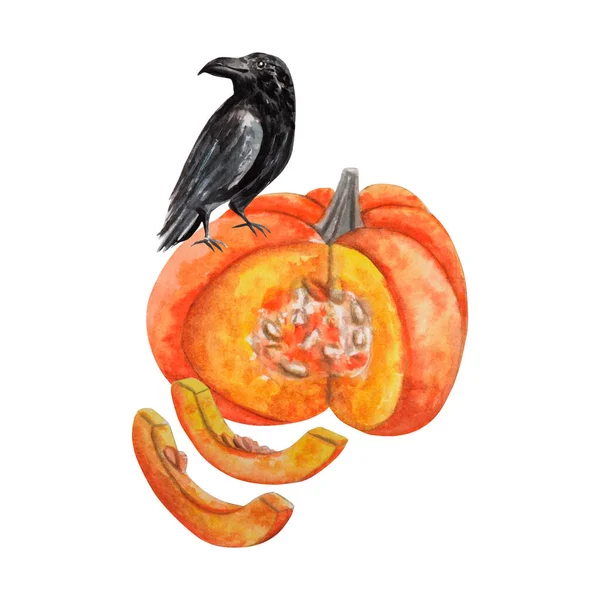 Watercolor Design Raven Bird Cut Pumpkin Its Slices Farming Party — Stock Photo, Image