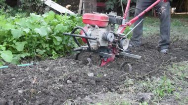 Bir çiftçi, gün boyunca bahçeye benzin dökerek toprağı sürer.