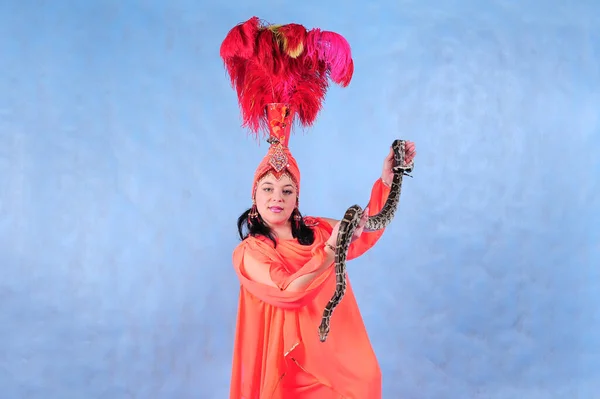 Animatorka Wężem Python Różowej Sukience Piórami Głowie Niebieskim Tle — Zdjęcie stockowe