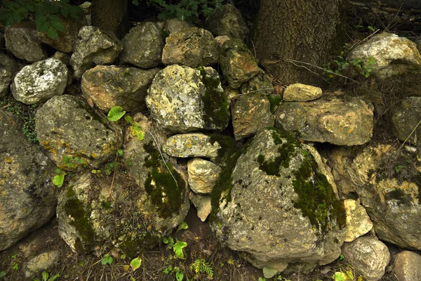 Roca Decorativa Textura Verde — Foto de Stock