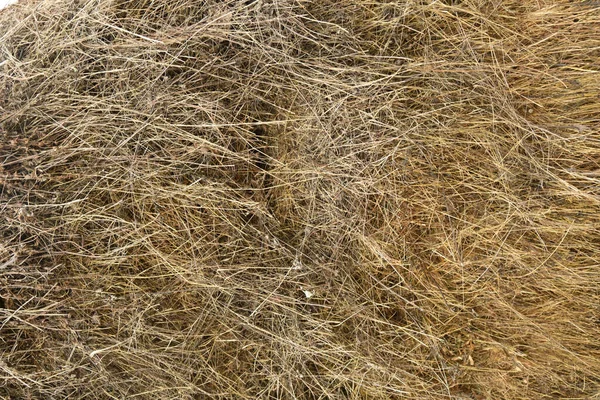 干草や干し草の食感 — ストック写真