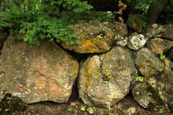 Διακοσμητική Πέτρα Και Πράσινη Υφή — Φωτογραφία Αρχείου