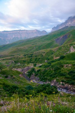 Yazın güzel dağ manzarası