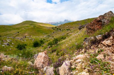 Yazın güzel dağ manzarası