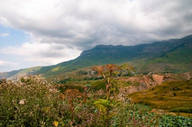Sihirli dağlara yerleşmek