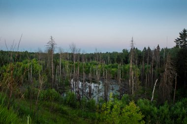 Dünya 'nın doğasındaki değişiklikler ve dışavurumları