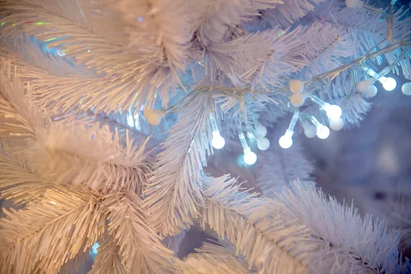 Vestido Com Luz Elétrica Textura Fundo Árvore Natal — Fotografia de Stock