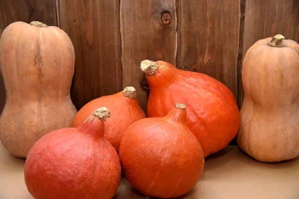 Orange Yellow Pumpkins Pile Wooden Background — Stock Photo, Image