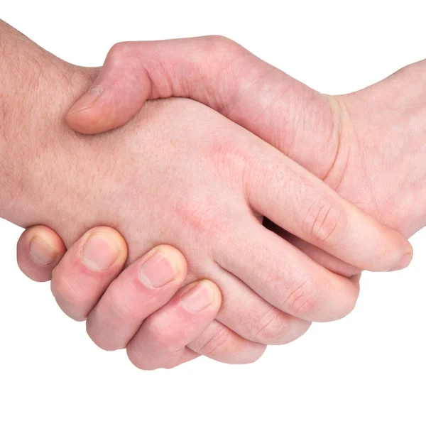握手一种人的握手 象征休战或白底条约 图库照片