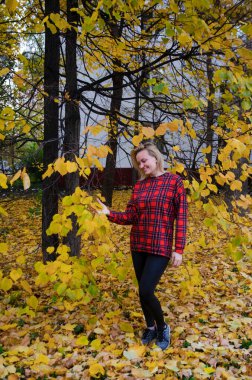 Parktaki sokakta, sarı sonbahar yapraklarının arka planında güzel bir gülümsemeyle güzel bir sarışın.