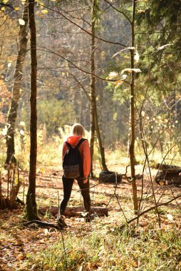 Sarışın, doğada şehir dışında geziyor.
