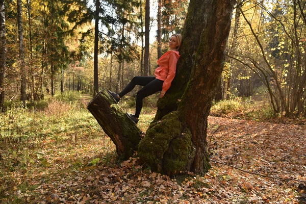 Красивая Женщина Дереве Лесу — стоковое фото