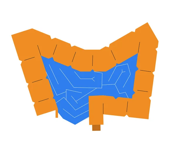 Medische Kaart Van Darm Eenvoudige Geometrische Stijl Menselijke Anatomie Concept — Stockvector