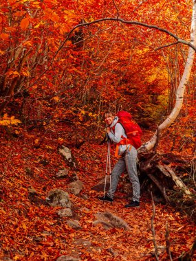 Sırt çantalı gezgin kadın sonbahar ormanında yolda. Yürüyüşteki gezgin kadın.