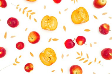 Sonbahar kompozisyonu. Beyaz arka planda elma ve dilimlenmiş balkabağı yaprakları. Sonbahar yapraklarıyla Şükran Günü konsepti. Düz yatış, üst görünüm