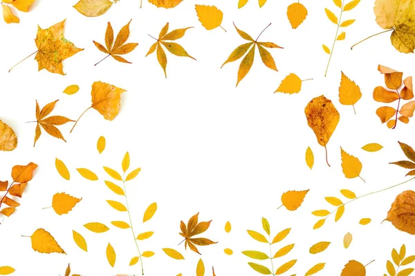 Herbstlicher Rahmen Mit Herbstblättern Auf Weißem Hintergrund Flache Lage Draufsicht — Stockfoto