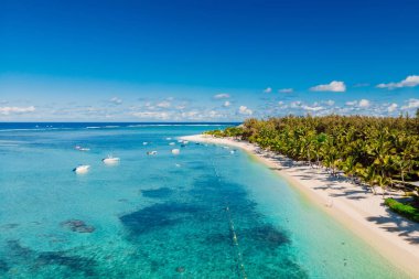 Mauritius 'ta dağlı tropik bir sahil. Palmiyeleri ve okyanusu olan bir sahil. Hava görünümü