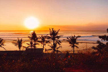 Büyük okyanus dalgaları ve hindistan cevizi palmiyeleri silueti ile gün batımı manzarası