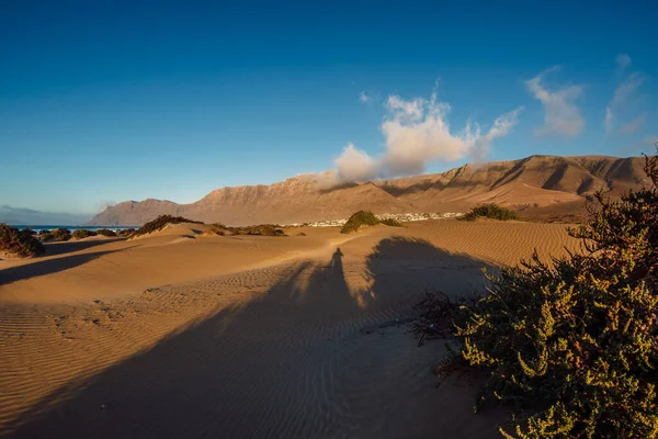 Sanddünen Mit Pflanzen Und Schatten Bei Sonnenuntergang Strand Von Famara — Stockfoto