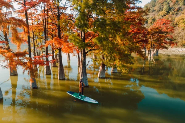 Vista Aérea Con Mujer Remo Stand Paddle Board Lago Con — Foto de Stock