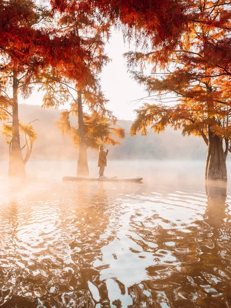 Mujer Tabla Paddle Lago Con Niebla Árboles Otoñales Taxodium Distichum — Foto de Stock