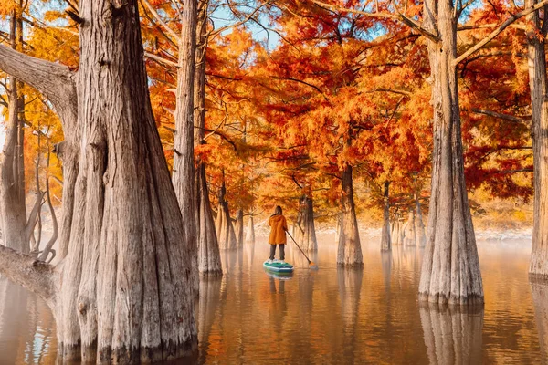 站在湖面上的女游客拿着紫杉树站在木板上 — 图库照片