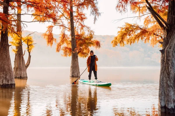 Viaggiatore Donna Stand Paddle Board Lago Con Taxodium Distichum Alberi — Foto Stock