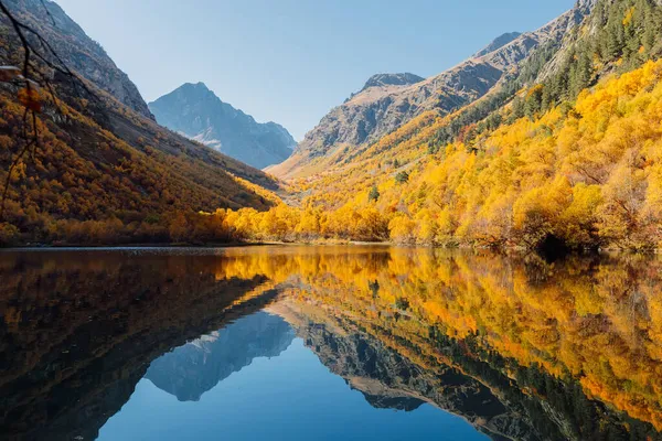 Jezero Průzračnou Vodou Žlutými Podzimními Stromy Hory Jezero — Stock fotografie